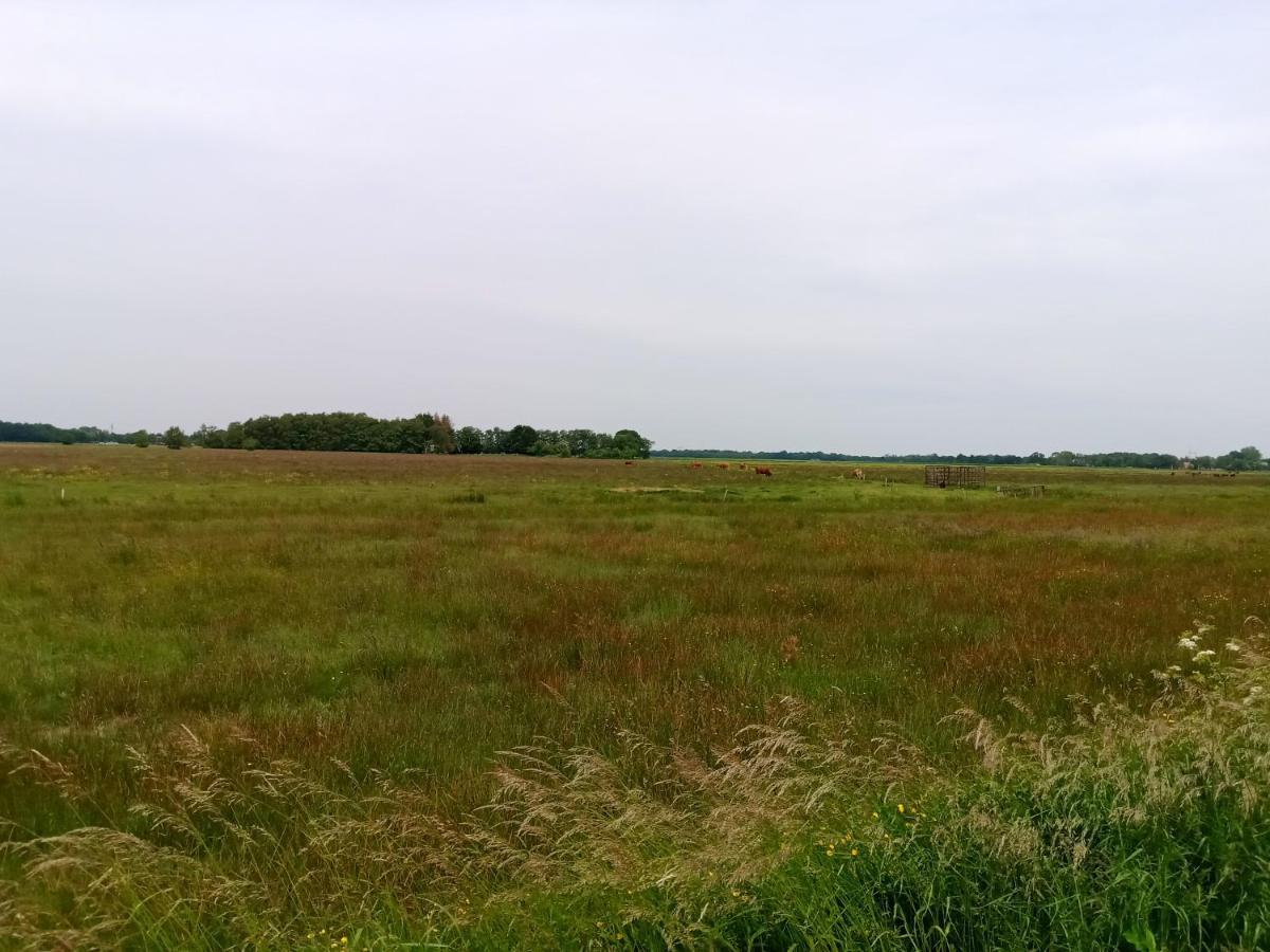 Fewo Unner'D Kastanje Moormerland Екстериор снимка